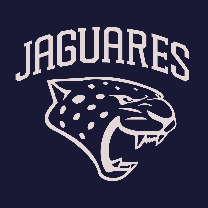 DISEÑO JAGUARES VARSITY